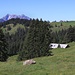 Rechts die Alp Büchel, im Hintergrund der Mürtschenstock.