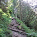 der Weg wird etwas steiler