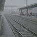Kaum aus dem Haus, beginnt der Wintereinbruch. Schneegestöber am Bahnhof Frenkendorf (311m).