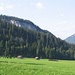 Il verde Bregenzerwald.
