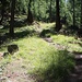 Zweiter Besteigungsversuch 17.-19.8.2012:<br /><br />Im märchenhaften Bergwald namens Walden oberhalb Randa.