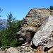 Zweiter Besteigungsversuch 17.-19.8.2012:<br /><br />Die schöne Walliser Natur begleitet den Bergwanderer stets auf dem Hüttenweg.