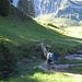 Ponticello sull'Alpbach poco prima della Kanisalpe.