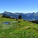Il panorama fra l'Obere Alpe e la Gastof Edelweisshuette.
