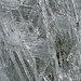 Eisstruktur auf dem Ramolferner; darunter schaut das Blankeis durch.