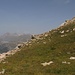 4) il lago Bianco al passo del Bernina,il piz Alv e il piz Languard