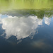 verkehrte Welt - Spiegelung im Giessenparksee