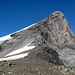 Bereits auf 3100m: der Gipfel zum Greifen nah.