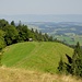 Blick vom Ahorn über den Oberaargau zum Jura