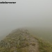 Im dichtesten Nebel geht es die letzten 200 Höhenmeter bergauf