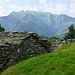 Die schöne Alp Sassello mit der Kette des Cramalina - dazwischen liegt das Valle Maggia