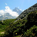 Die letzte Etappe vor Petit Mountet führt durch zauberhafte Vegetation