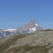 Panorama Berner Alpen