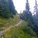 Abwechslungsreicher Weg 