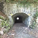 Tunneleingang zum Sihlsprung.