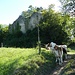 ... zur verfallenden (und gesperrten) Ruine Neu Schauenburg