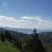 Vom Schnebelhorn (1292 m) reicht die Sicht weit bis in die Alpen.