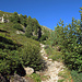 Der Weg hinauf führt zum Tscheppasee und ist einer der schönsten Bergwanderwege, die ich im Oberengadin kenne.