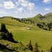 wunderschöne Alplandschaft auf Obergestele;
im Hintergrund Piz Oesch und Lueglespitz