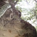 Eine der hekikleren Stellen, hier bin ich rechts am Baum vorbei über ein schmales Felsband. Solche Stellen sind aber immer nur sehr kurz gewesen.