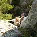 kleine Kletterstelle am Zugang zur Grotte