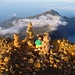 Am Gipfel des Gunung Rinjani - und die wahrscheinlich ersten Stoffbären (Bimbo und Bimbi), die den Berg bestiegen haben