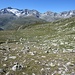 Gatschola-Alp - hinten der Galenstock