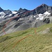 Deierenälpli - Stotzig Muttenhorn, Chli Muttenhorn und Gross Muttenhorn mit Aufstiegsroute