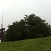 Frohburg (knapp unterhalb dem Nebel)