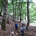 The lower part of the hike is through delightful forest