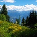 Beim Abstieg nach Anzère hat man hübsche Durchblicke auf die südlichen Walliser Alpen