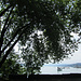 Durchblick auf den Zürichsee