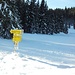 Ein Winterfoto auf der Wildoos-Alm, ein kleiner Eindruck zu den Schneeverhältnissen