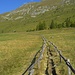 Gli idilliaci pascoli dell'Alp Mezan, il sentiero in questo tratto è "recintato"
