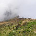 nicht mal das nahe Grüenhorn 2140m ist zu sehen
