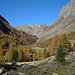 Alp Camp mit Blick ins Val Mera