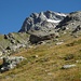 Im Aufstieg zum Kastenstein, darüber das Kleine Schreckhorn mit (von links) NW-, S- und SE-Grat