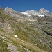 Abstieg unterhalb Glattwang: links Klein, rechts Gross Schreckhorn, dazwischen die Nässihörner