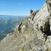 Aus der Nähe