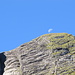 Mond über einem Vorgipfel des Gamsbergs, links ist der Kamin oder besser gesagt der Ausstieg aus dem Doppelgleis. Im Zoom sieht man in der Bildmitte oben einen Berggänger beim Aufstieg. Wohin in sein Weiterweg führte, weiß ich nicht. Am Gipfel war er jedenfalls nicht mehr, als wir raufkamen