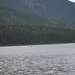 Den Murtle Lake kann man praktisch ausschliesslich mit dem Kanu erkunden