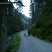 Ein 6 km langer "Straßenhatscher" bis zu Gollinghütte