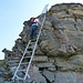 Werni in der Leiter