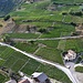 vineyards of Saillon
