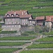 beautiful chateau in the vineyards