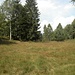 Hochmoor Pian Segna