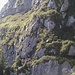 Ausstieg aus dem ersten Teil des 'Schnüerli' über die schmale Stelle. Man kommt von der 'einsamen' Tanne auf der linken Bildseite her und quert oberhalb des unteren, mächtig erscheinenden Felsens. 