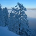 Aussicht aus der schweizer Tiefkühltruhe über den Nebel vom Val-de-Travers zum Montagne de Buttes (1245,1m).