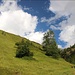 durchs schöne Wildlahnertal zurück zum Ausgangspunkt