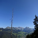 Im Aufstieg zum Strichboden: Blick in den Alpstein